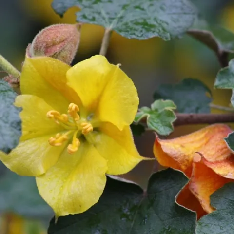 photo by Jennifer Baumbach