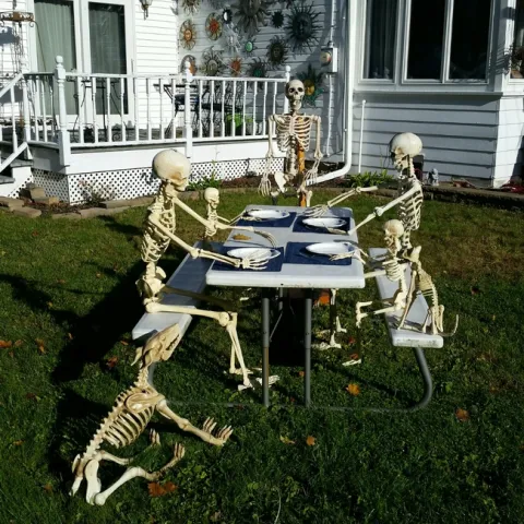 Skeleton picnic (Photo courtesy of Charles Powers)