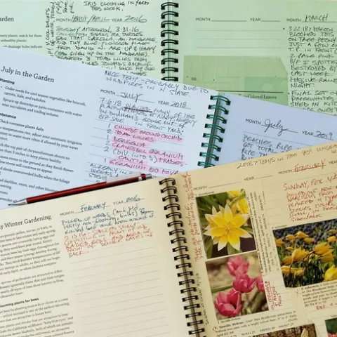 Garden Guide and journal pages by Laura Kling
