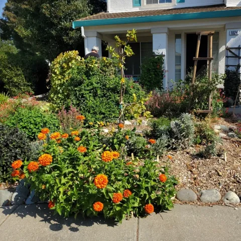 Community Front Yard Garden