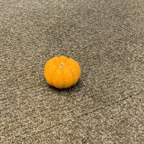 lonely pumpkin
