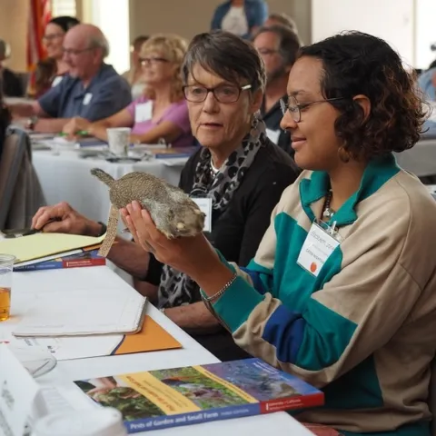 Two UC Master Gardener Volunteers, seated at a table, observed a taxidermy pocket gopher.