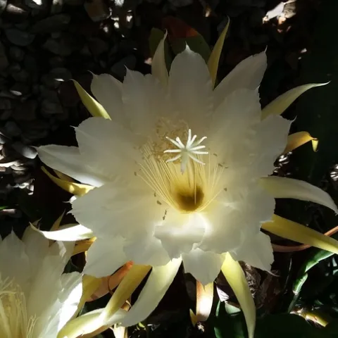 Photo By Polly Nelson