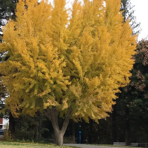 photo by Michelle Davis