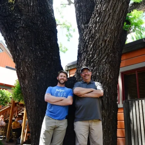 Forest entomologist and chemical ecologist Steve Seybold and doctoral student Jackson Audley by a downtown Davis tree with thousand cankers disease. (Photo by Kathy Keatley Garvey)