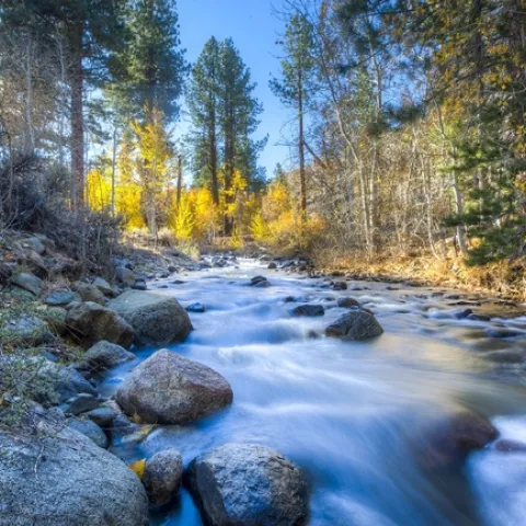 About 60% of California water flows from the state's forests, an invaluable ecosystem service.