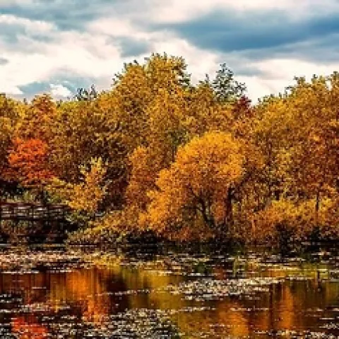 photo from WordPress.com