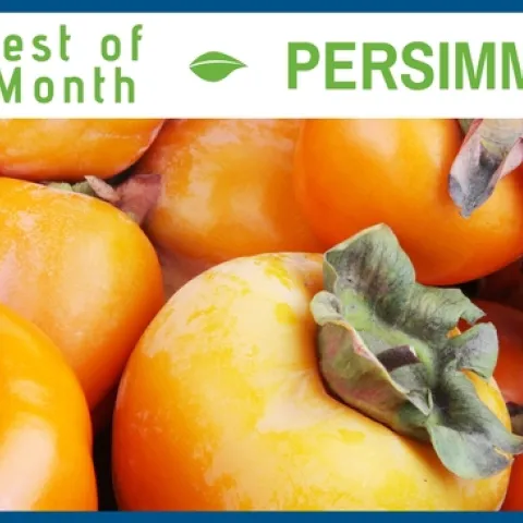 Persimmons November
