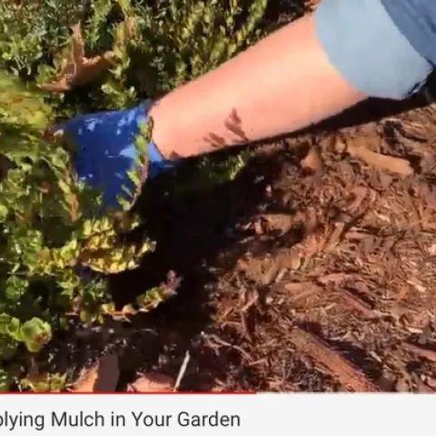 Consumers seek practical information from how-to videos.