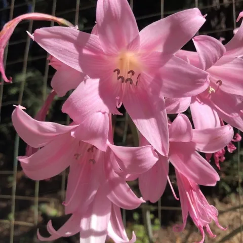 photos by Erin Mahaney