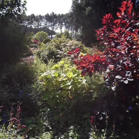 pictures by Betty Victor