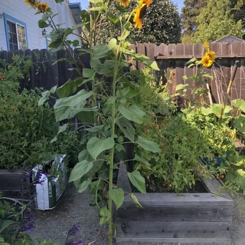 photos by Erin Mahaney