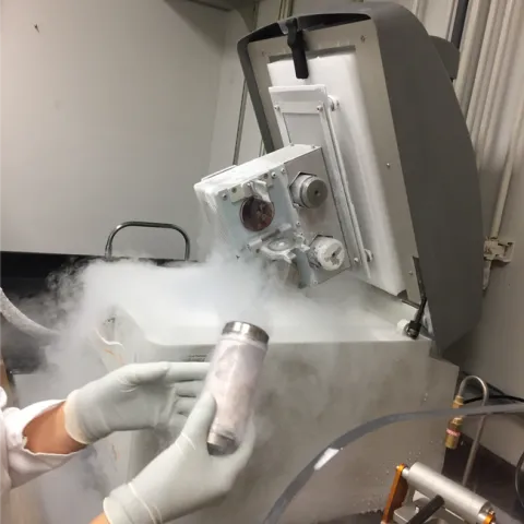 Frozen samples were processed and sequenced by researchers at the Energy Department’s Joint Genome Institute (JGI). (Photo: Peggy Lemaux)