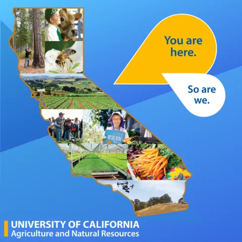 You are here So are we