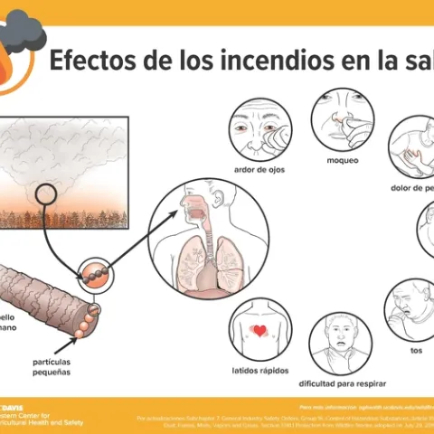 smoke health poster spanish