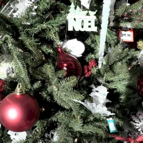 Holiday Celebrations