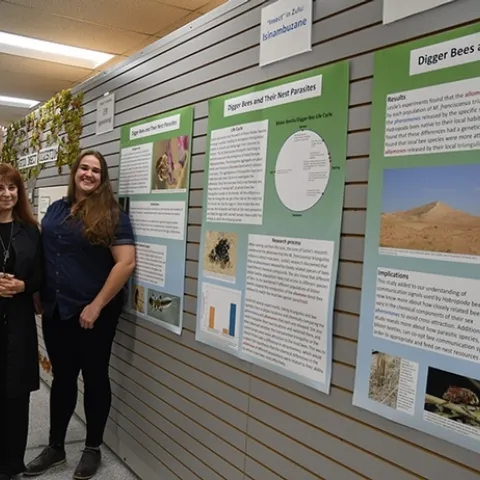 Leslie Saul-Gershenz (left) and curator Emma Cluff stand by their display at the Bohart Museum of Entomology. (Photo by Kathy Keatley Garvey)