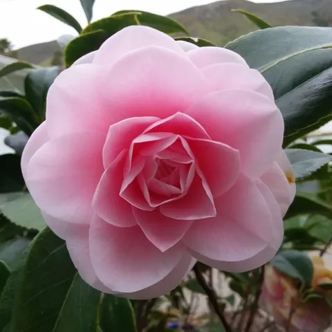 Photo By Polly Nelson