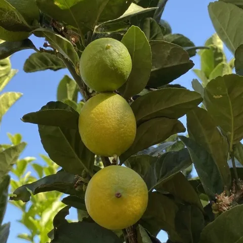 photos by Erin Mahaney