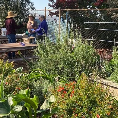 Prepping for students.