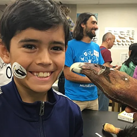 Jefferson Wright, an eighth grader at Emerson Middle School, Davis, enjoys attending the annual UC Davis Biodiversity Museum Day. "I have always liked museum day and every year It gets better and better. I can't wait to go this year!" He's pictured in the Museum of Wildlife and Fish Biology.