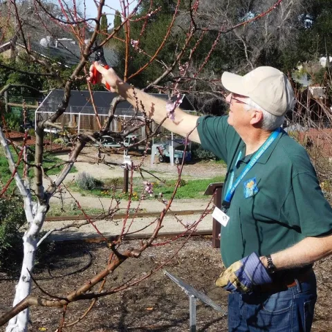 Photo by Jacqueline Shubitowski