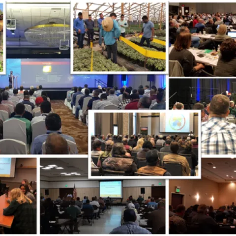 Surendra Dara's IPM outreach within and outside the United States