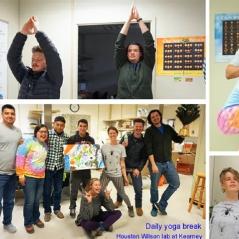 Members of the Houston Wilson lab at the UC Kearney Agricultural Research and Extension Center practice yoga.
