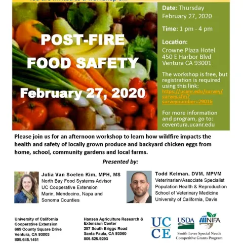 Post Fire poster PDF