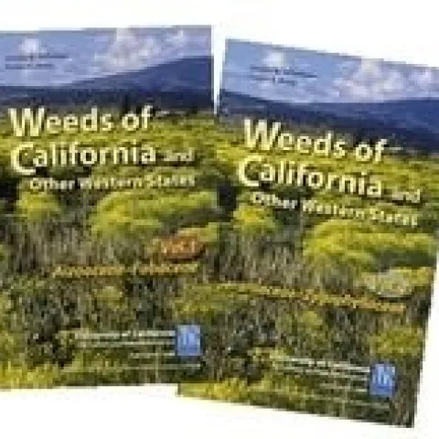 weeds of california