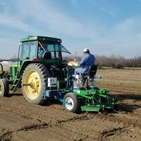 Planting garbanzos for a research trial at UC West Side REC in the San Joaquin Valley, 2020