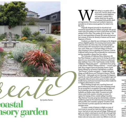 create-a-coastal-sensory-garden