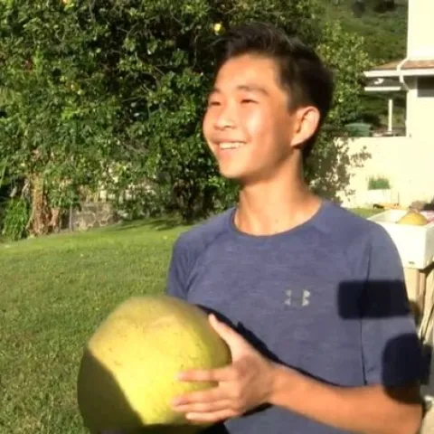 pomelo huge in perspective