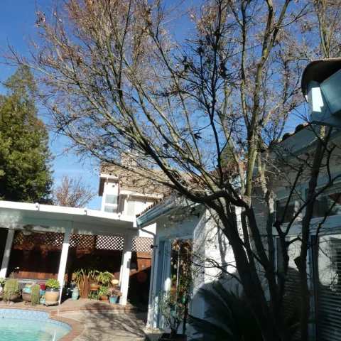 photos by Launa Herrmann