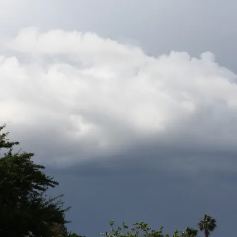 photo by Jennifer Baumbach