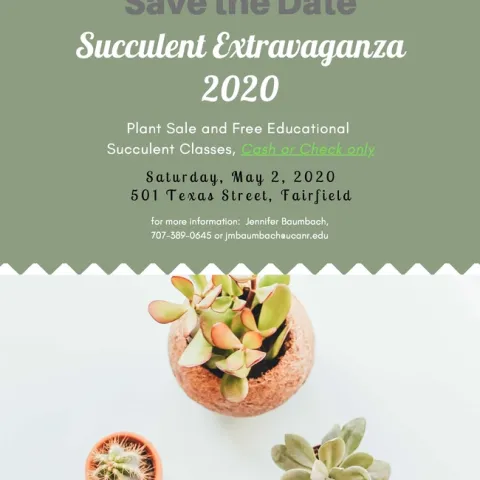 save the date SE2 2020