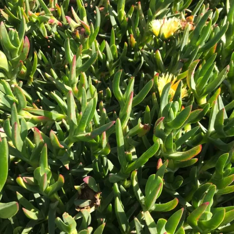 Photo by Andrea Giacoletti