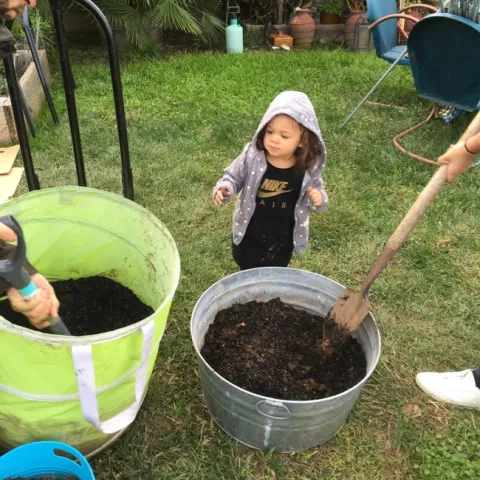 photo by Jean Strauss