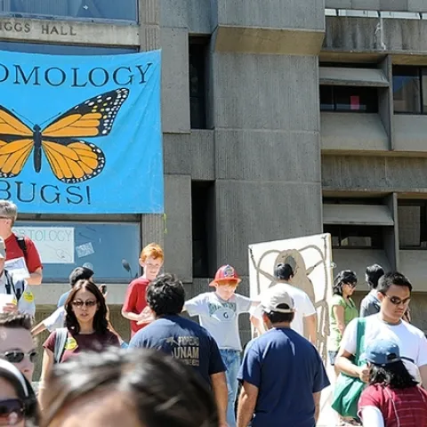The Faculty Flash Talks, to place in 122 Briggs Hall at 4:10 p.m. on Feb. 26, will feature six scientists. This is an image from a UC Davis Picnic Day celebration. (Photo by Kathy Keatley Garvey)