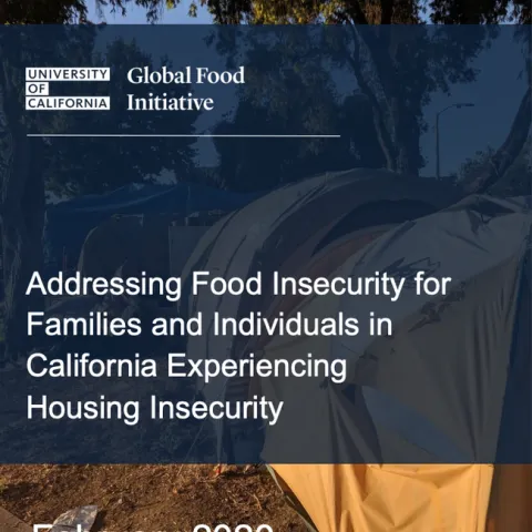 NPI food insecurity report