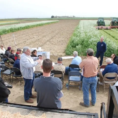Cover crops, equipment for cover crop management, soil function, and cotton market initiatives will be topics discussed at the March 26th public educational field day at Teixeira & Sons LLC, at 11323 Erreca Road in Dos Palos, CA