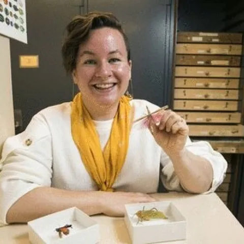 Mary Salcedo, postdoctoral fellow at Virginia Tech who studies insect wings.