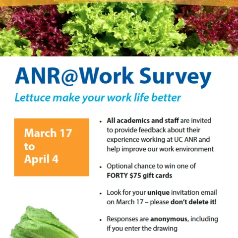 ANRlettuceworksurvey