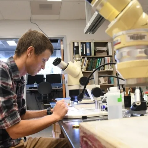 Agricultural entomologist and Cooperative Extension specialist Ian Grettenberger joined the faculty of the UC Davis Department of Entomology and Entomology in January 2019. (Photo by Kathy Keatley Garvey)