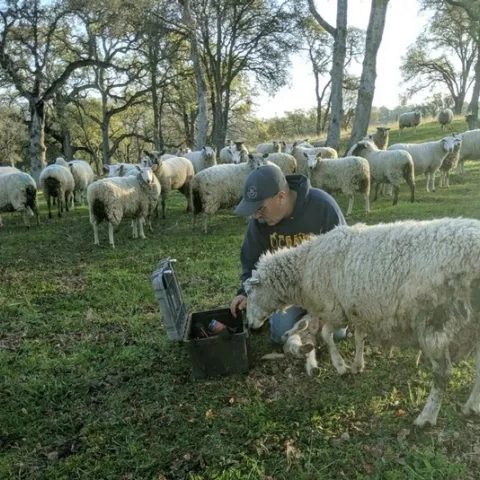 Photo credit: Kaleiah Schiller