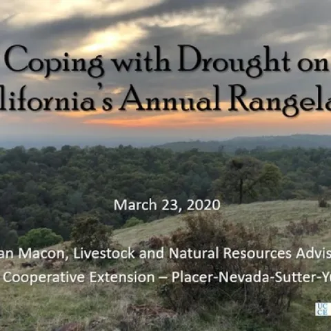 2020 Mar23 coverslide