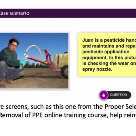 Interactive scenario screen
