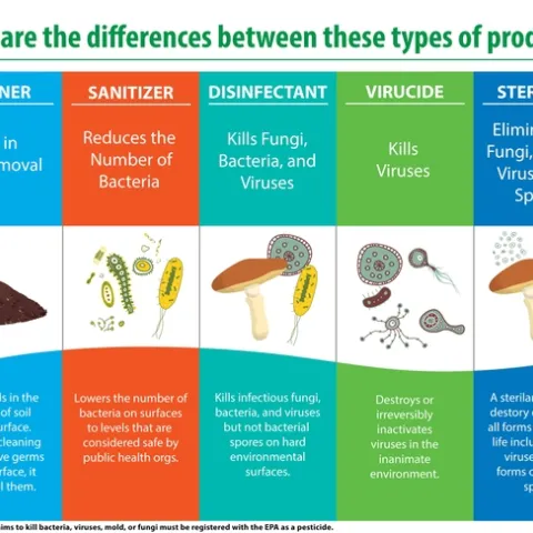 Antimicrobials include several categories of products. To maintain virus-free surfaces use a disinfectant or a virucide. Sterilants are generally more toxic and reserved for critical environments like hospitals. Infographic courtesy Enviroxyclean.