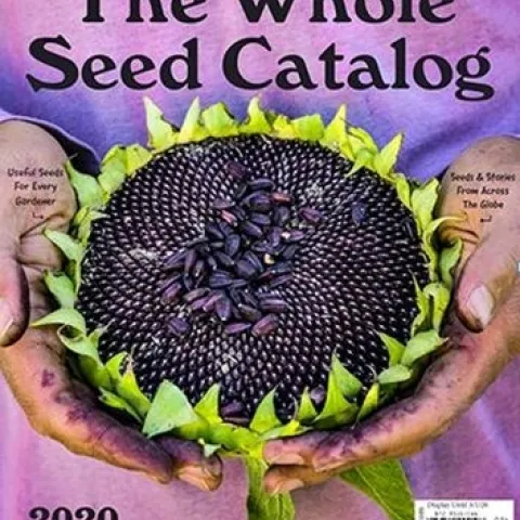 seed