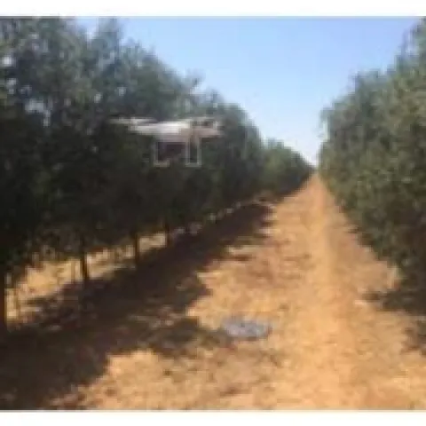 drone measuring trees